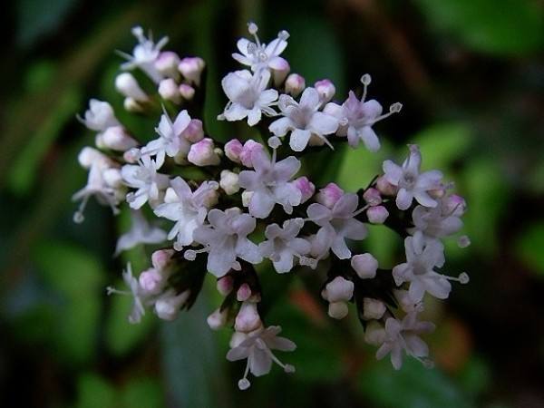 201901031002431769 201901031002431769